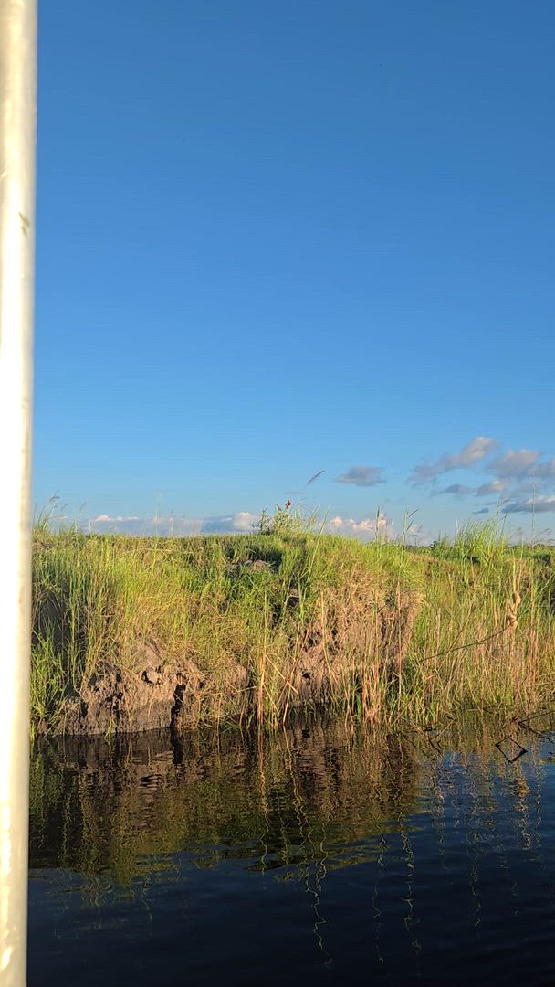 Trouvez votre circuit dans le Parc national de Chobe idéal. Nous avons 104 aventures à vous proposer dans le Parc national de Chobe durant entre 3 et 64 jours. Le mois le plus apprécié pour s'y rendre est Septembre, c'est-à-dire le mois qui compte le plus grand nombre de départs.