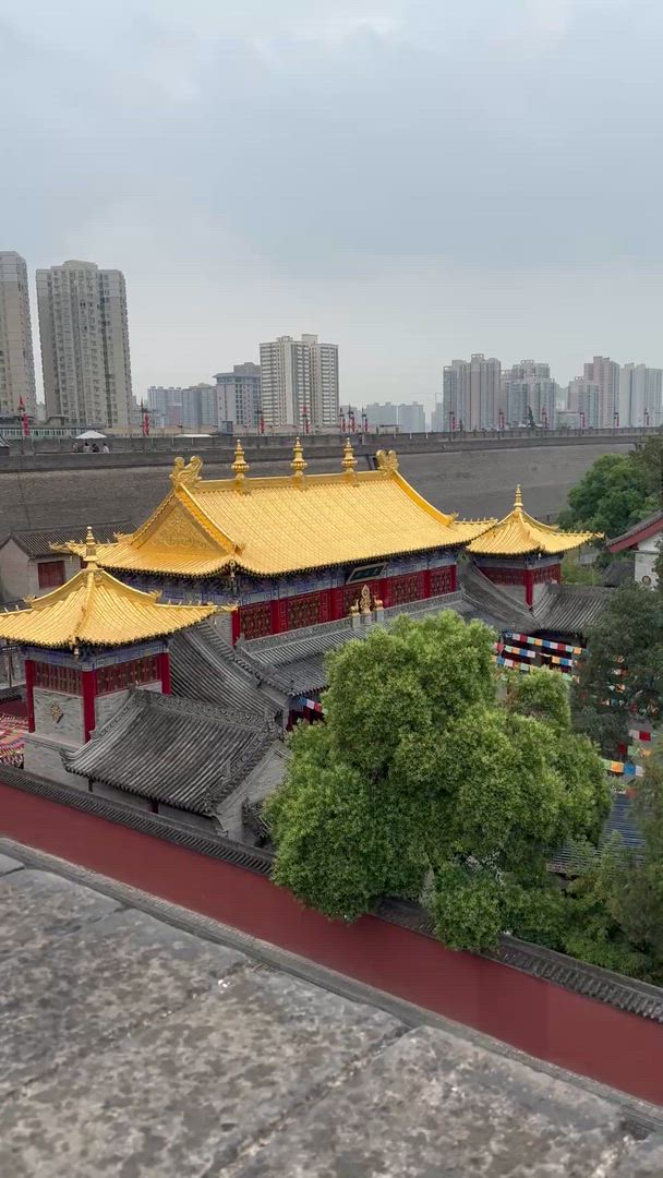 Picture yourself standing before the Great Wall, watching it snake across mountains as far as you can see. The Forbidden City and Tiananmen Square in Beijing, Xi'an's Terracotta Warriors – these aren't just photos you've seen, they're real. Cruise the Yangtze River through dramatic gorges, bike Xi'an's medieval wall, sail the Li River past Yangshuo's karst landscapes. Shanghai's modern skyline, Guilin's rice terraces. China's waiting.