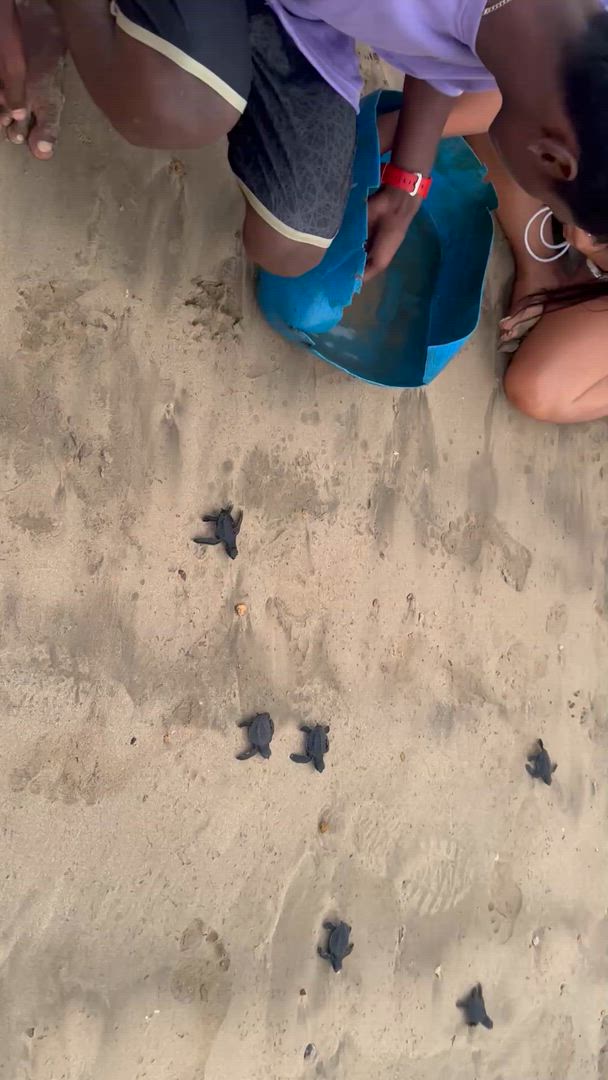 Splendeur du Sri Lanka - (Circuit de 8 jours et 7 nuits au Sri Lanka) customer review video