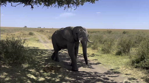 Trouvez votre circuit idéal en Tanzanie. Nous avons 1800 aventures à vous proposer en Tanzanie entre une journée et 24 jours. Le mois le plus apprécié pour s'y rendre est juin, c'est-à-dire le mois qui compte le plus grand nombre de départs.