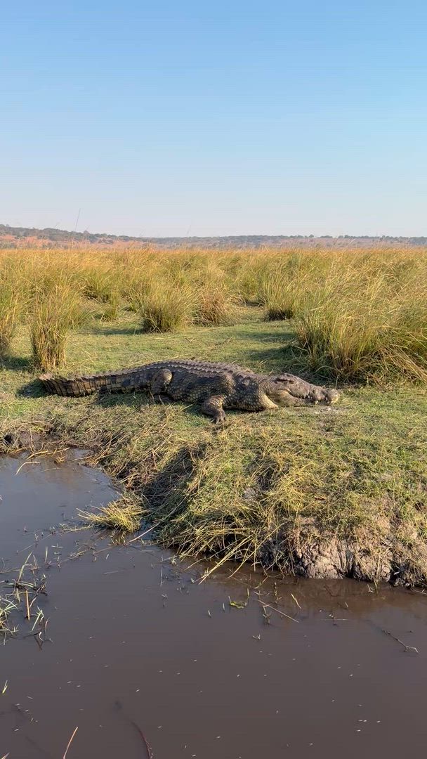 video met klantbeoordeling van Onvergetelijk Afrika: Van Kaapstad tot de Okavango Delta