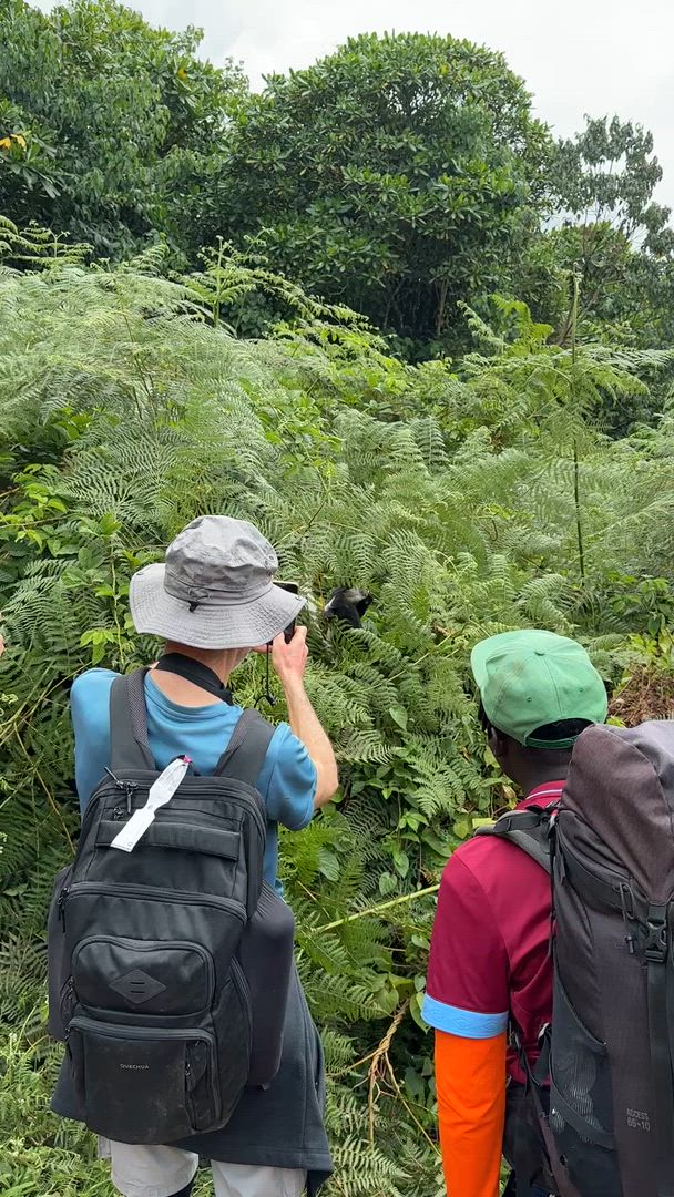7 jours d'ascension du Kilimandjaro par la route Lemosho customer review video