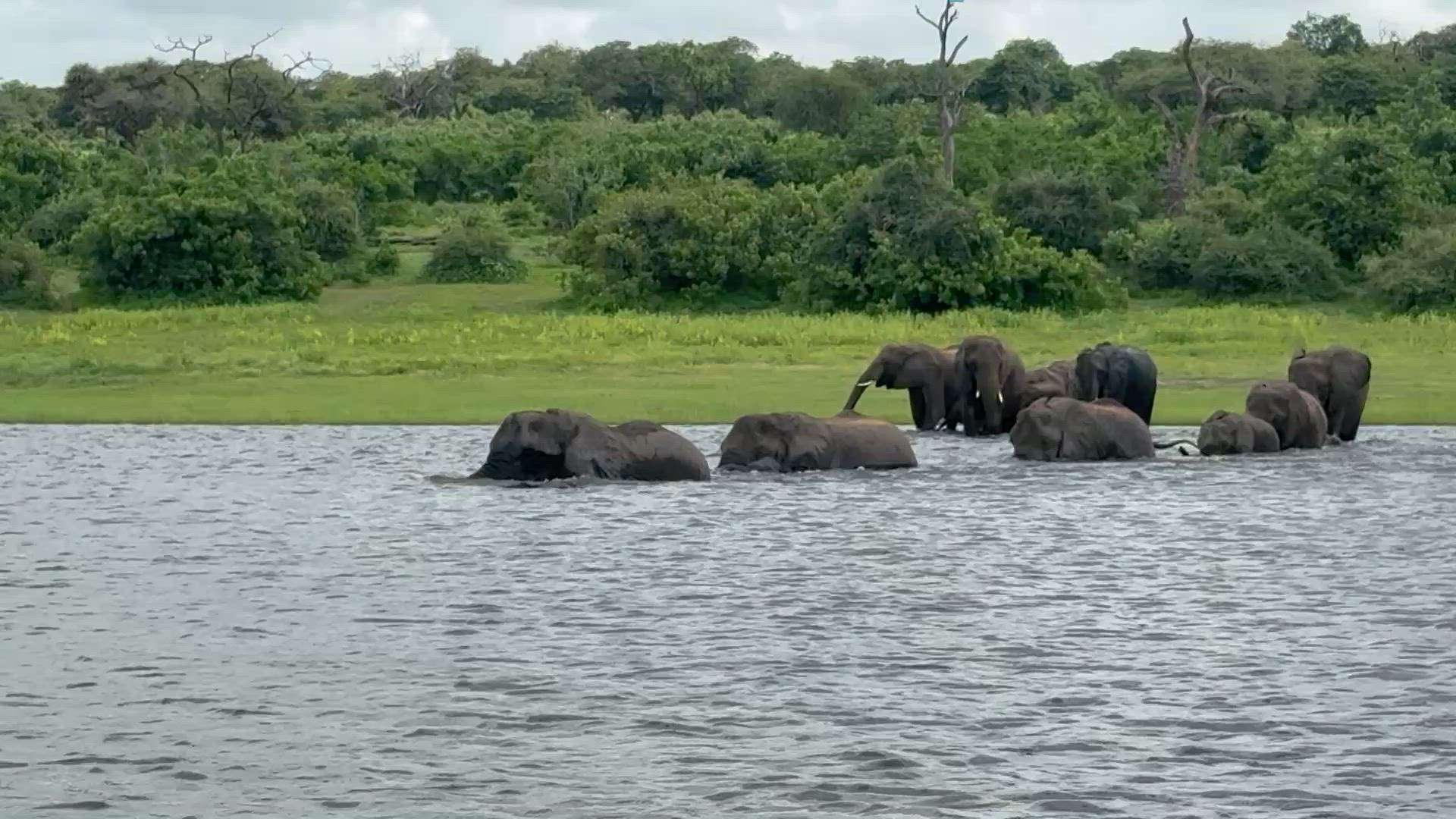 Le meilleur de l'Afrique du Sud customer review video