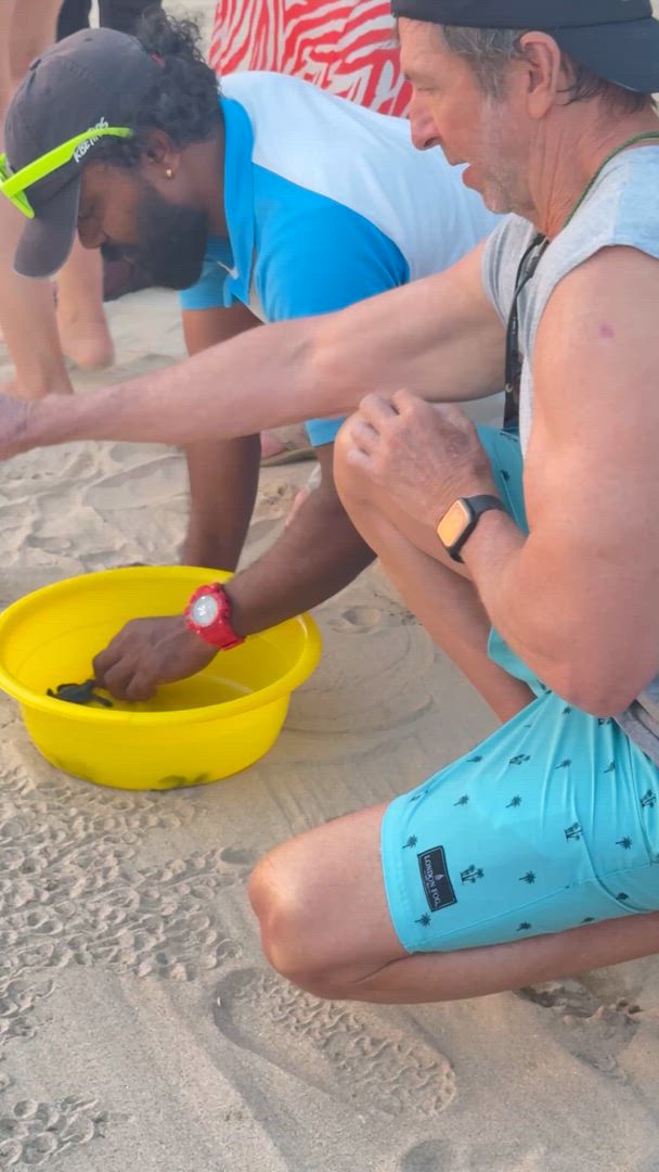 A visit to Sri Lanka will stay with you forever. We’re talking nature, wildlife, food, culture, and history everywhere you look. Head to the Golden Cave Temple, the Temple of the Sacred Tooth, and learn traditional Kandyan dance. How about visiting Ceylon tea plantations and spice gardens? UNESCO-listed Sigiriya Rock Fortress will make your jaw drop to the floor, and the beaches? Mindblowing.