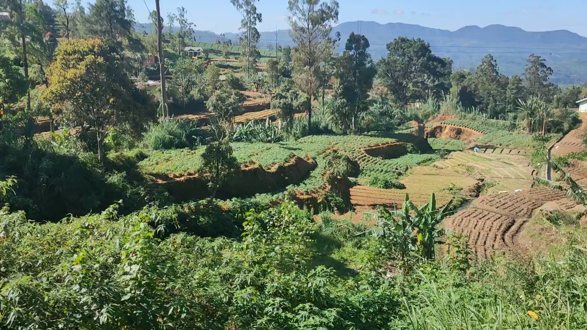 Circuit essentiel de 7 jours en voiture privée au Sri Lanka customer review video