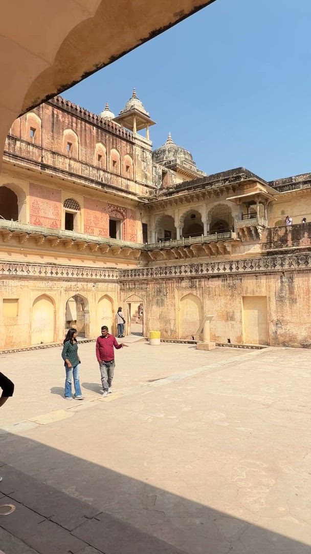 Vídeo de reseña del cliente sobre El lujoso Triángulo de Oro de la India incluido el safari de avistamiento de leopardos y amanecer en el Taj Mahal