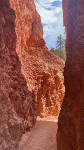 Trouvez votre circuit idéal dans la région Four Corners. Nous avons 229 aventures à vous proposer dans la région Four Corners. Le mois le plus apprécié pour s'y rendre est Septembre, c'est-à-dire le mois qui compte le plus grand nombre de départs.