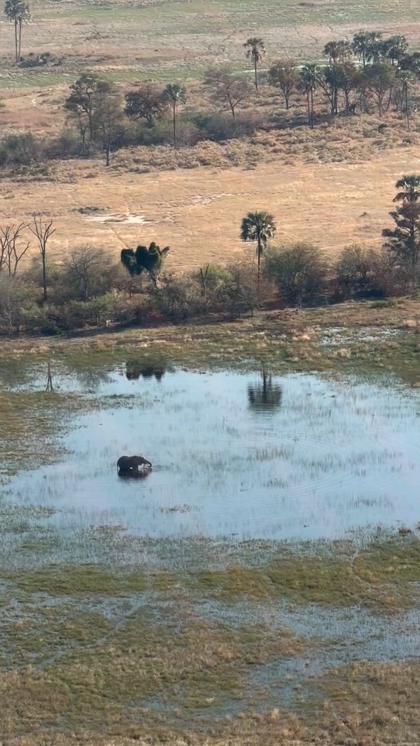 video met klantbeoordeling van Onvergetelijk Afrika: Van Kaapstad tot de Okavango Delta