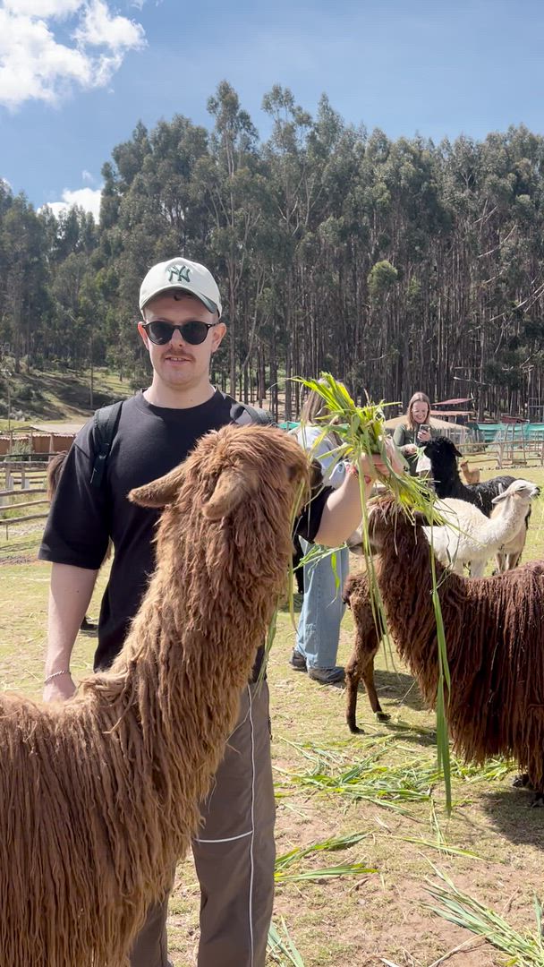 Vídeo de reseña del cliente sobre Aventura inca: Cusco, Machu Picchu y las mejores vistas de la historia