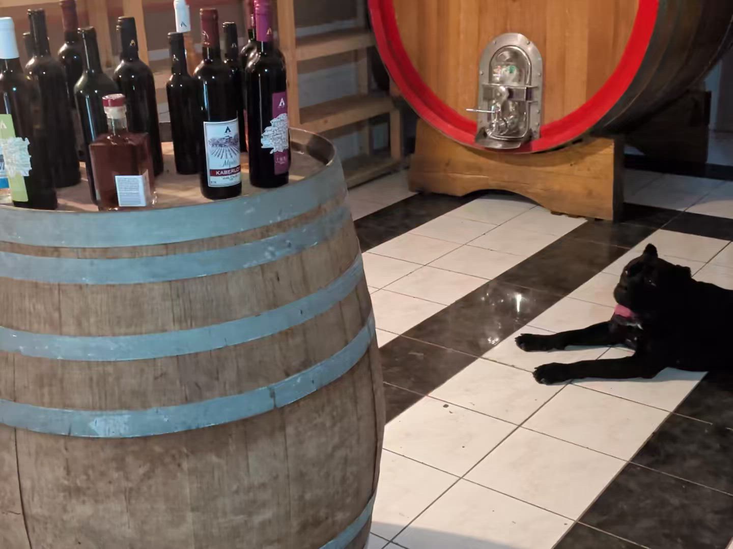 L'Albanie intemporelle : De la côte à la campagne customer review video