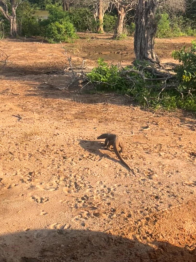 Splendeur du Sri Lanka - (Circuit de 8 jours et 7 nuits au Sri Lanka) customer review video