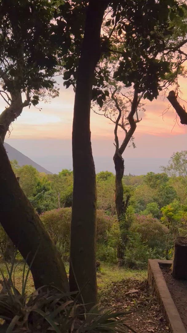 Du Guatemala au Costa Rica customer review video