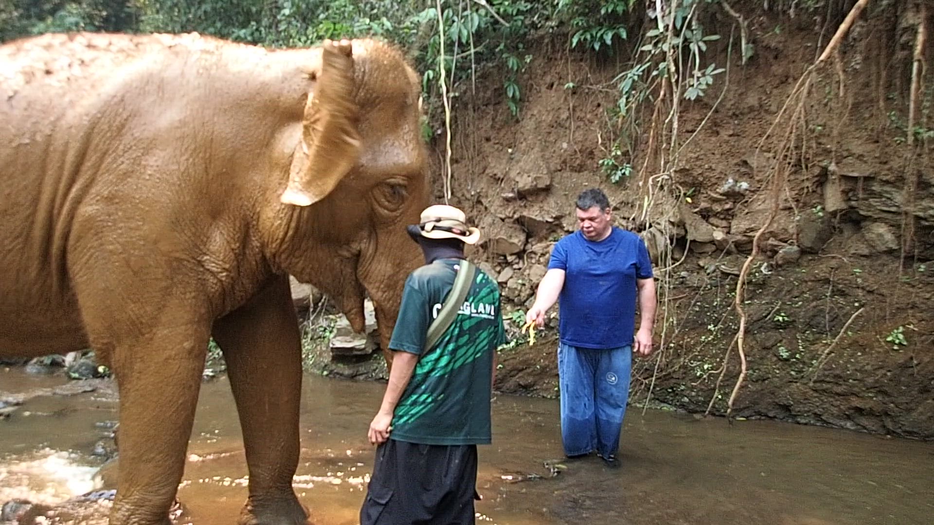 Vídeo de reseña del cliente sobre Tailandia clásica En 12 días - Bangkok/Chiang Mai/Phuket