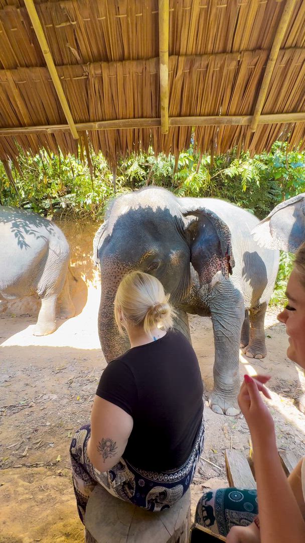 Expérience thaïlandaise customer review video