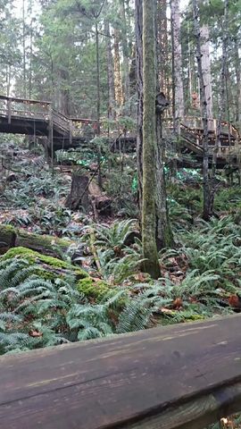 Excursion d\'une journée à Vancouver - Grouse Mountain et pont suspendu de Capilano (privé) circuit