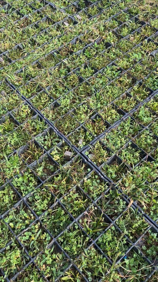 Beautiful Machu Picchu🩷