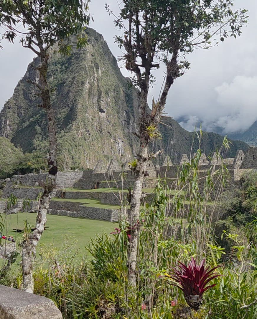 Vídeo de reseña del cliente sobre Aventuras Incas - 7 Días (Lima, Paracas, Ica, Cusco, Machu Picchu y Montaña Arco Iris) - Con Vuelos Nacionales