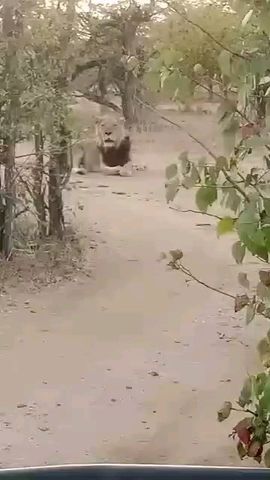 8 Tage Safari in Botswana: Wagen Sie sich in die ungezähmte Wildnis Afrikas Rundreise