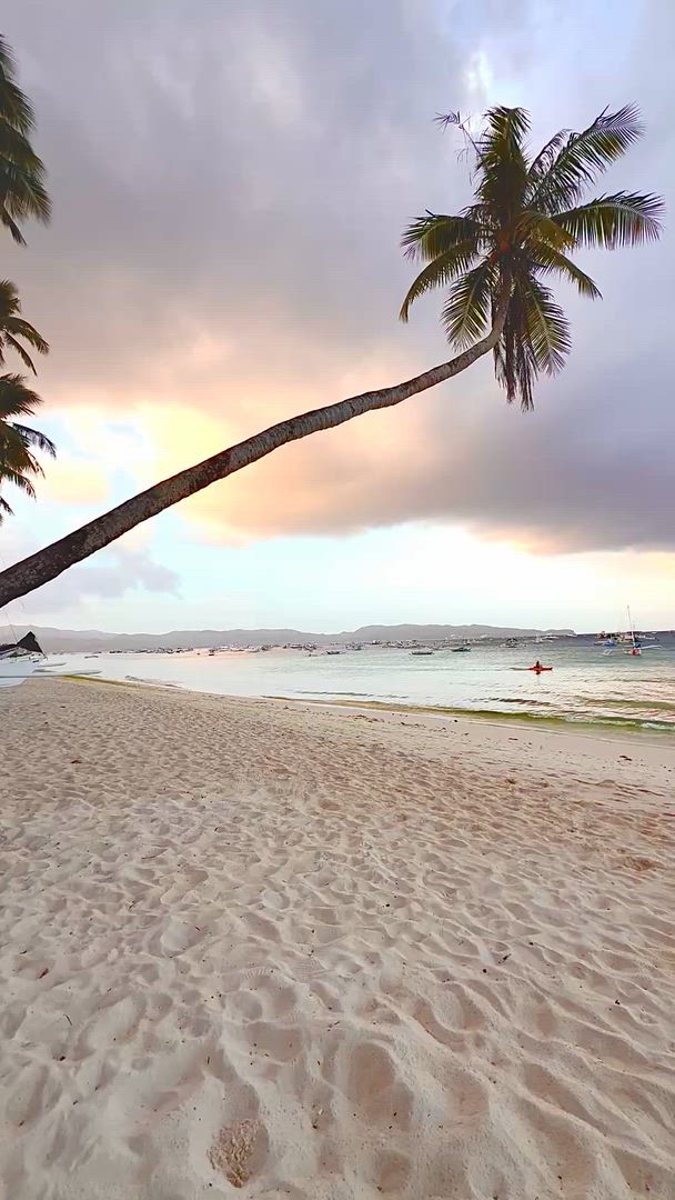 Philippines Est customer review video