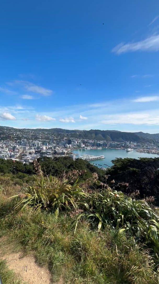 Vídeo de reseña del cliente sobre Introducción NZ 17 días