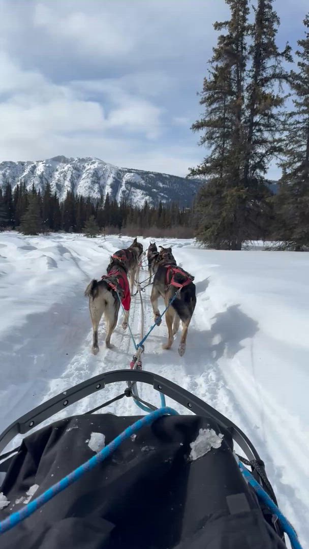 Trouvez votre circuit idéal dans la région Yukon et Territoires du Nord-Ouest. Nous avons 65 aventures à vous proposer dans la région Yukon et Territoires du Nord-Ouest. Le mois le plus apprécié pour s'y rendre est Août, c'est-à-dire le mois qui compte le plus grand nombre de départs.