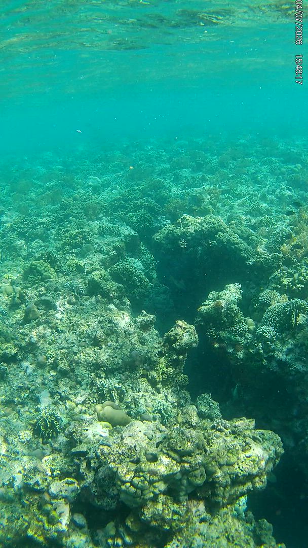 Bali Classic 12 jours - One Life Adventures customer review video