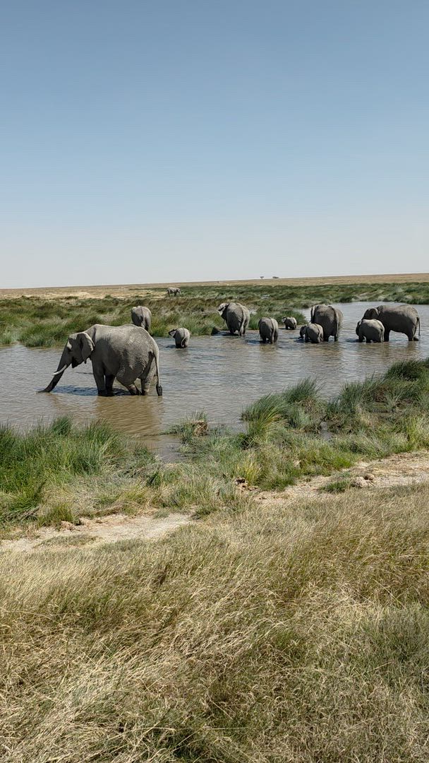 Trouvez votre Afrique circuit jeep et 4x4 idéal. Vous avez le choix entre pas moins de 1389 voyages durant entre une journée et 40 jours. Le mois comptant le plus grand nombre de départs est Octobre, ce qui en fait le moment le plus apprécié pour aller en Afrique.