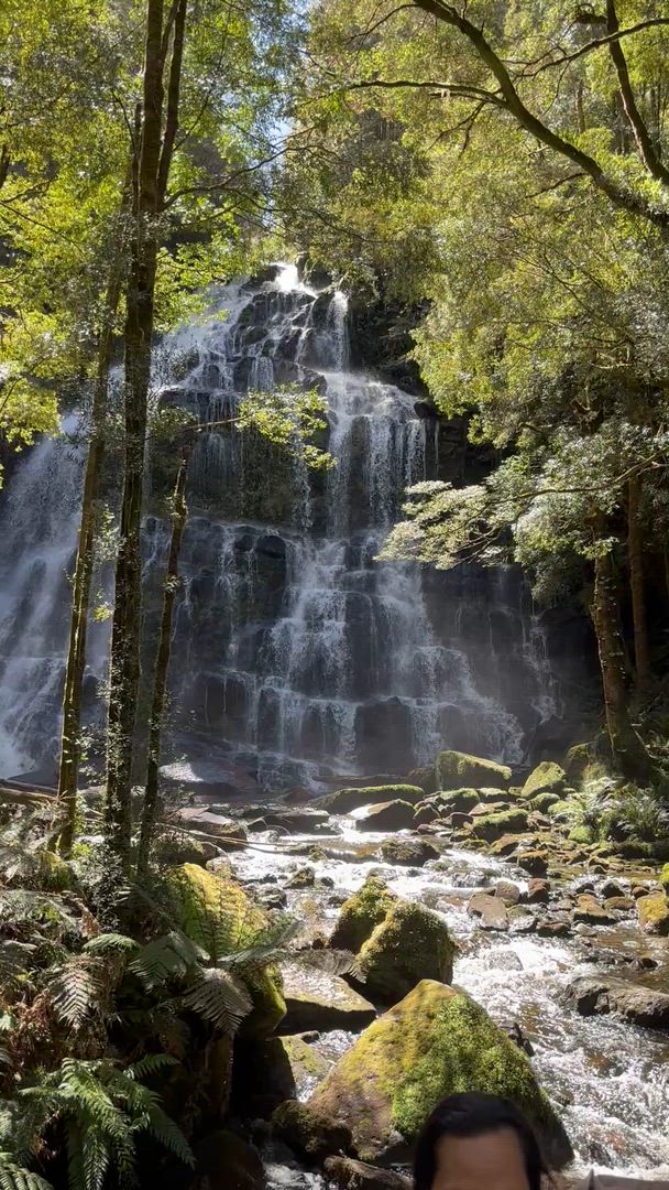 Famous 5 - Rundreise durch Tasmanien (5 Tage) customer review video