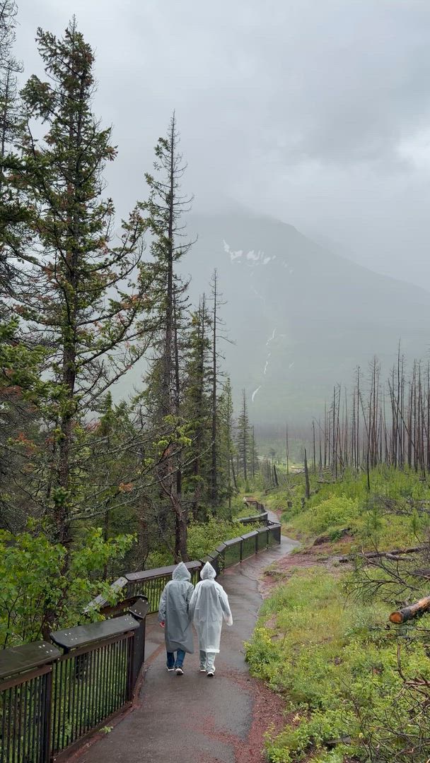 Onze begeleide reizen door Noord-Amerika nemen je mee door het adembenemende landschap van Niagara Falls en <a href="/nl/v/staat-alaska">Alaska</a>, de <a href="/nl/v/regio-oostkust-usa">oostkust</a> of <a href="/nl/v/regio-westkust-usa">de westkust</a>, en meer. Blijf dicht bij de natuur door een bezoek te brengen aan het Yellowstone National Park, de <a href="/nl/v/berg-canadese-rockies">Canadese Rockies</a> of <a href="/nl/v/staat-hawaii">Hawaii</a> met avontuurlijke pakketten die zowel betaalbaar als van hoge kwaliteit zijn.