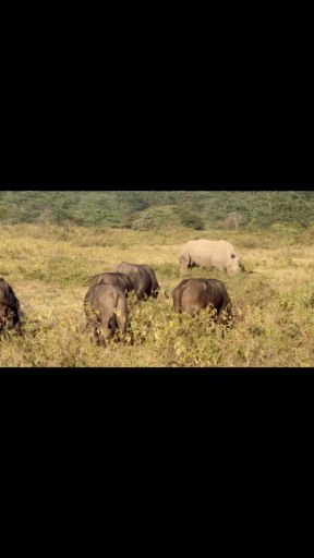 Trouvez votre Afrique circuit camping idéal. Vous avez le choix entre pas moins de 679 voyages durant entre une journée et 100 jours. Le mois comptant le plus grand nombre de départs est Décembre, ce qui en fait le moment le plus apprécié pour aller en Afrique.