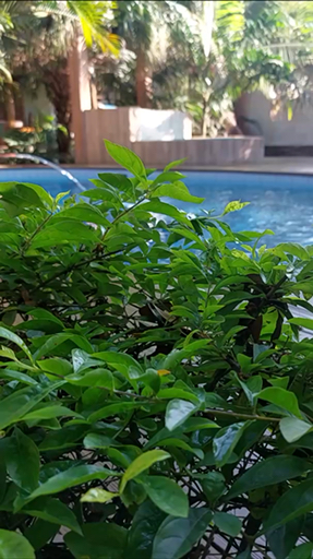 Vibrant cities and stunning nature blend in Ecuador, packed with memorable experiences. Wander Quito’s old center and cross the equator at Mitad del Mundo, the “Middle of the World”. For nature, head to the Galápagos Islands and swim with sea turtles and sea lions. Head to one of the world’s biggest craters by hiking up Sierra Negra Volcano or discover the diverse ecosystems of the Amazon Rainforest.