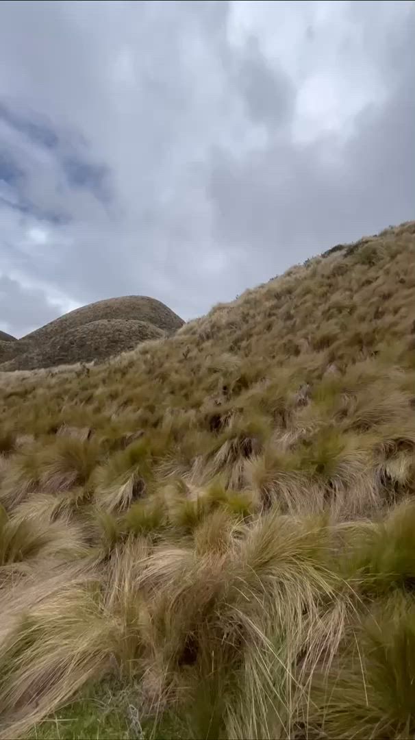 11 Days around Ecuador:  A Journey Through Nature and Culture