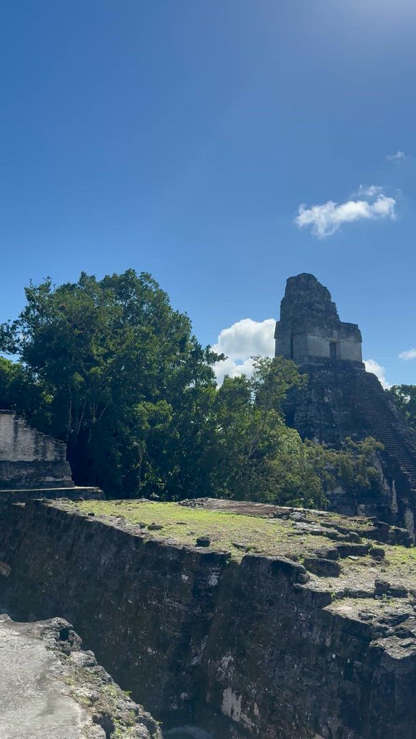 Vídeo de reseña del cliente sobre Tierra de Belice y Tikal