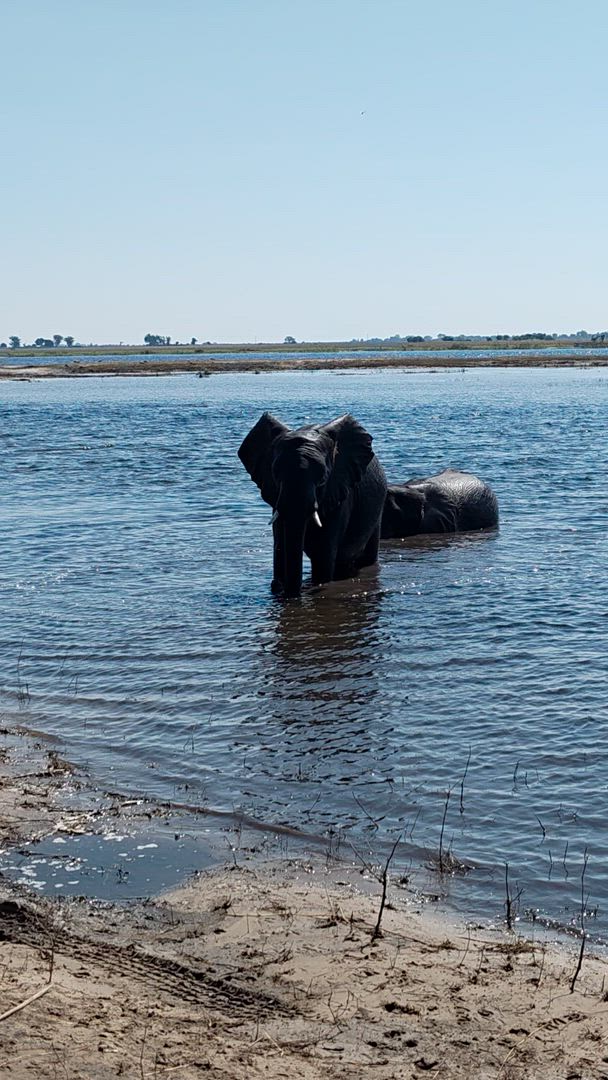Vídeo de reseña del cliente sobre Experiencia Okavango