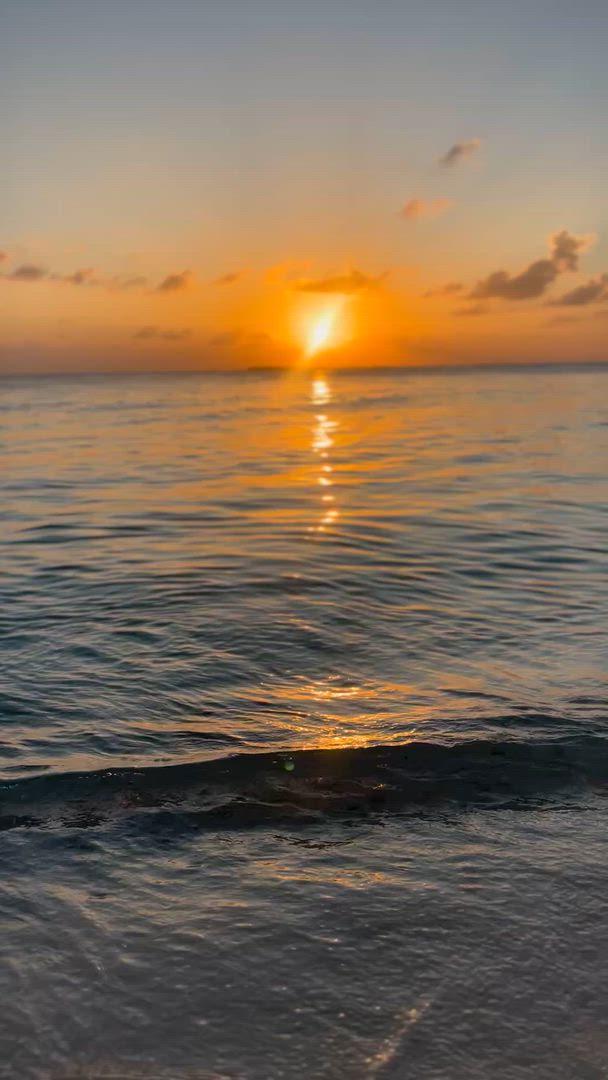 7N Maldives Sud Malé Local Island Hopping customer review video