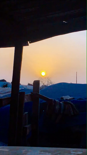 Could you imagine standing at the Taj Mahal at sunrise? From Delhi's temple streets and buzzing markets to Jaipur's royal palaces, Rajasthan delivers contrast after contrast. Ranthambore National Park offers genuine Bengal tiger encounters, while camel treks through the Thar Desert's rolling dunes show you a completely different side. Rajasthan awaits!