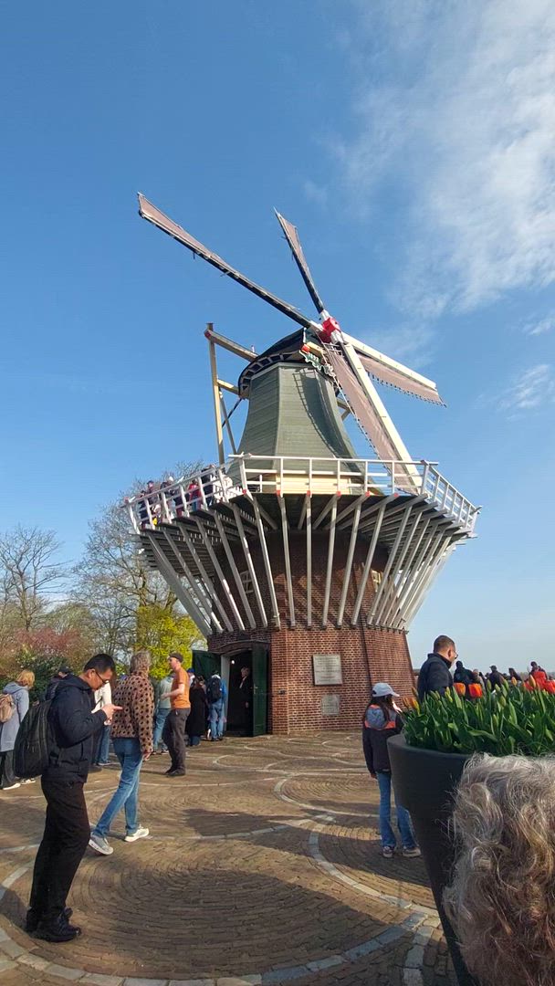 Rhein Highlights - 8 Tage (15 Destinationen) Kundenbewertungsvideo 
