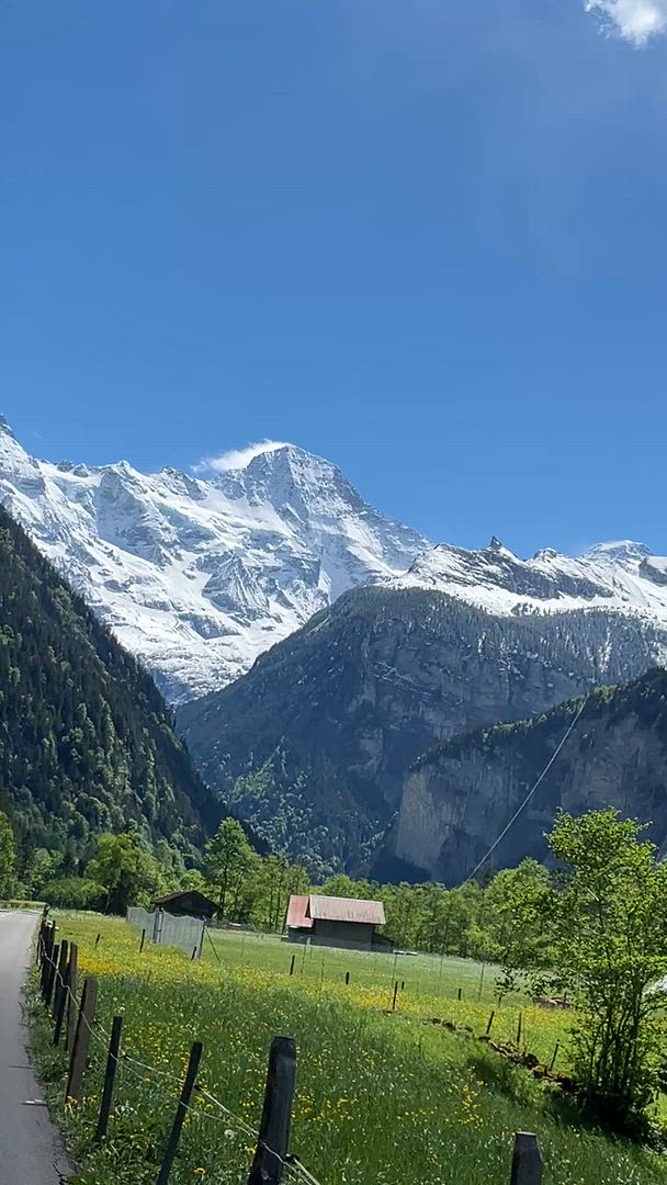 Suisse Tout-en-un customer review video