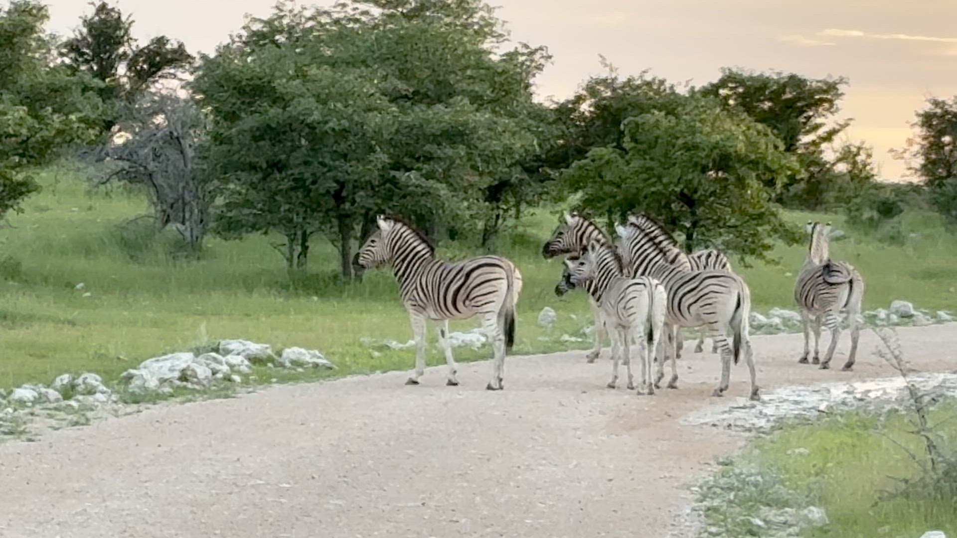Wasserfälle, Botswana &amp; Namibia (14 Tage) Kundenbewertungsvideo
