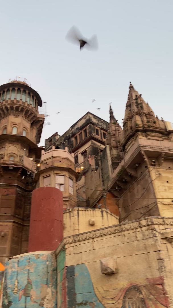 Tour du Gange customer review video