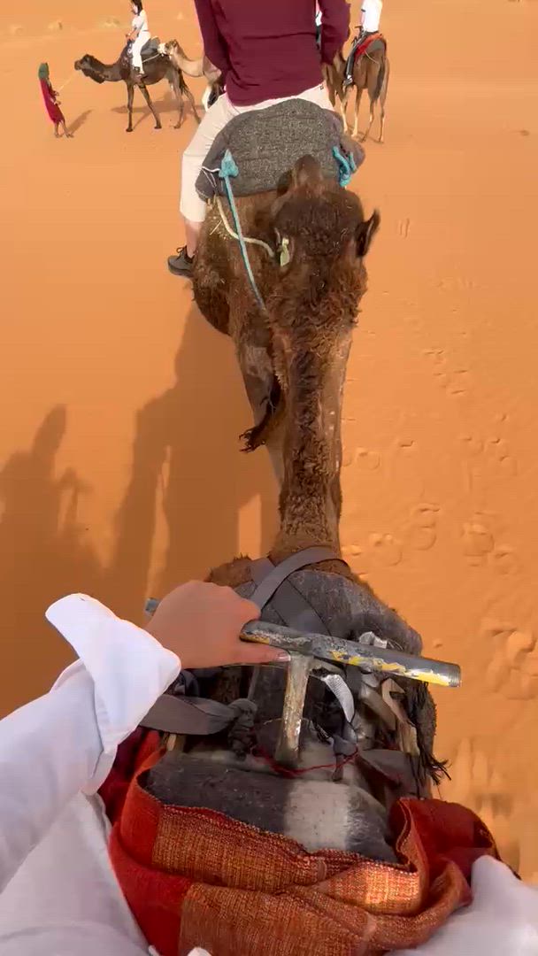 Aventure dans le désert marocain : Canyons et chameaux customer review video