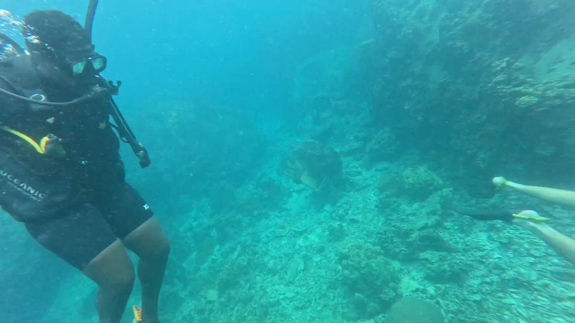 Introduction à la Thaïlande + plongée vidéo d'avis client