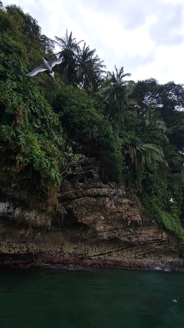 9 jours à travers le Panama : Culture, montagne et paradis caribéen customer review video