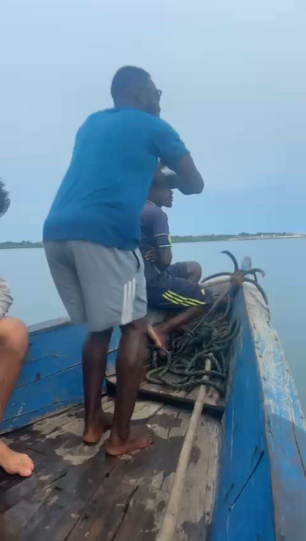 Tansania und die Insel Sansibar: Afrikanische Safari, Schulbau &amp; Bildung, Schwimmen mit Delfinen customer review video