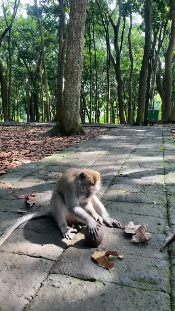 Bali Classic 12 jours - One Life Adventures customer review video