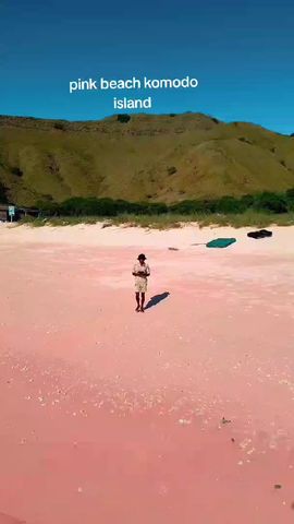 Circuito Phinisi de lujo: Viaje de 3 días a la isla de Komodo