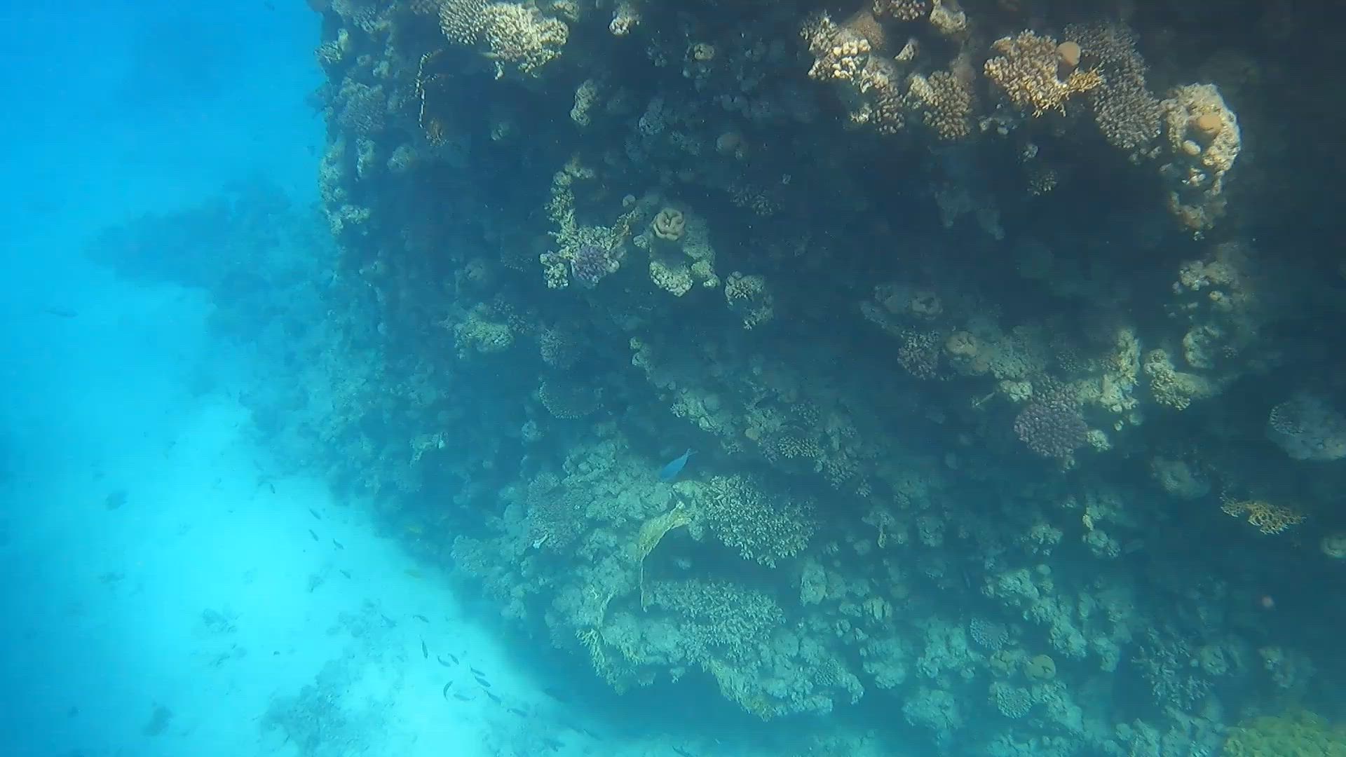 Juwelen am Nil - 5 Sterne Kreuzfahrt Kundenbewertungsvideo