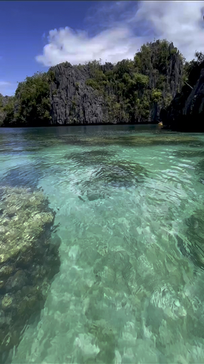 Trouvez le circuit idéal pour votre famille, adapté à tous les âges avec plus de 118 circuits familiaux disponibles dans la région Philippines.