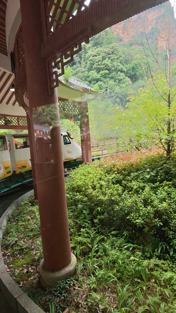 Vídeo de reseña del cliente sobre Viaje de 11 días a Zhangjiajie, la mejor China: Grupo reducido de lujo y hoteles de calidad
