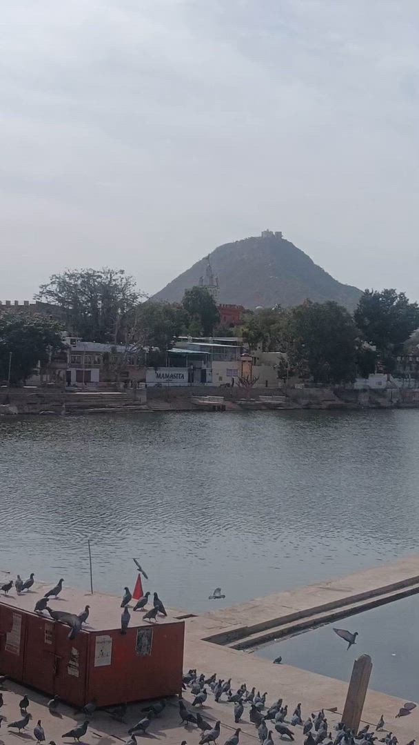 Taj Mahal et Rajasthan avec séjour royal dans des châteaux customer review video